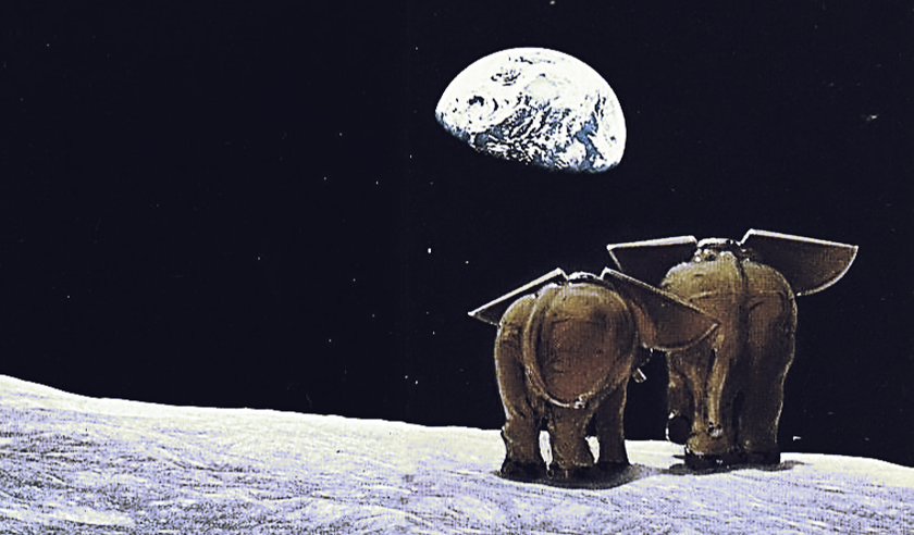 How Many Elephants Can Fit on the Moon?